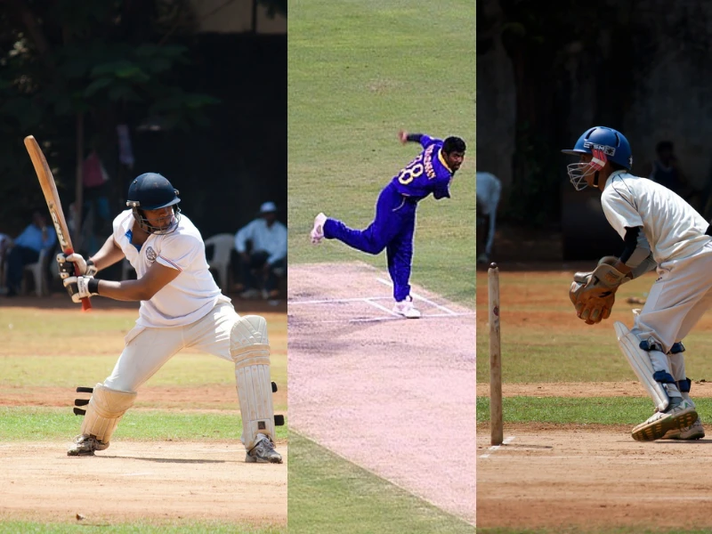 types of cricketers